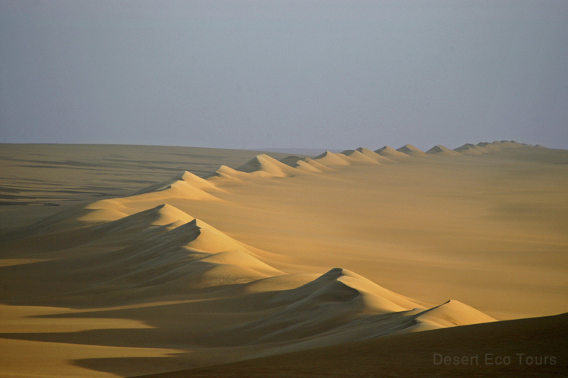 The Western desert of Egypt- The Great Sea of Sand